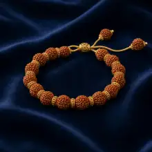 Rudraksh